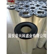質(zhì)量強(qiáng)悍噴涂粉末回收濾芯價(jià)格廠家供應(yīng)[興科]