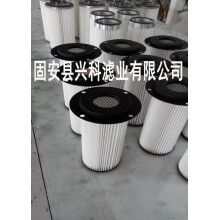 32120粉塵濾芯濾筒價格優(yōu)惠[興科]