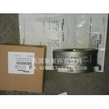 斯派莎克DCV3不銹鋼對(duì)夾止回閥