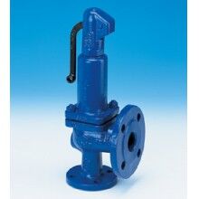 德國ARI-全啟式安全閥