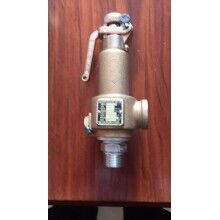 韓國(guó)朝光JSV-HT41高揚(yáng)程式蒸氣安全閥