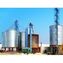 大型玉米烘干塔/玉米種子烘干機/玉米烘干設備