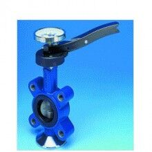 德國ari軟密封蝶閥